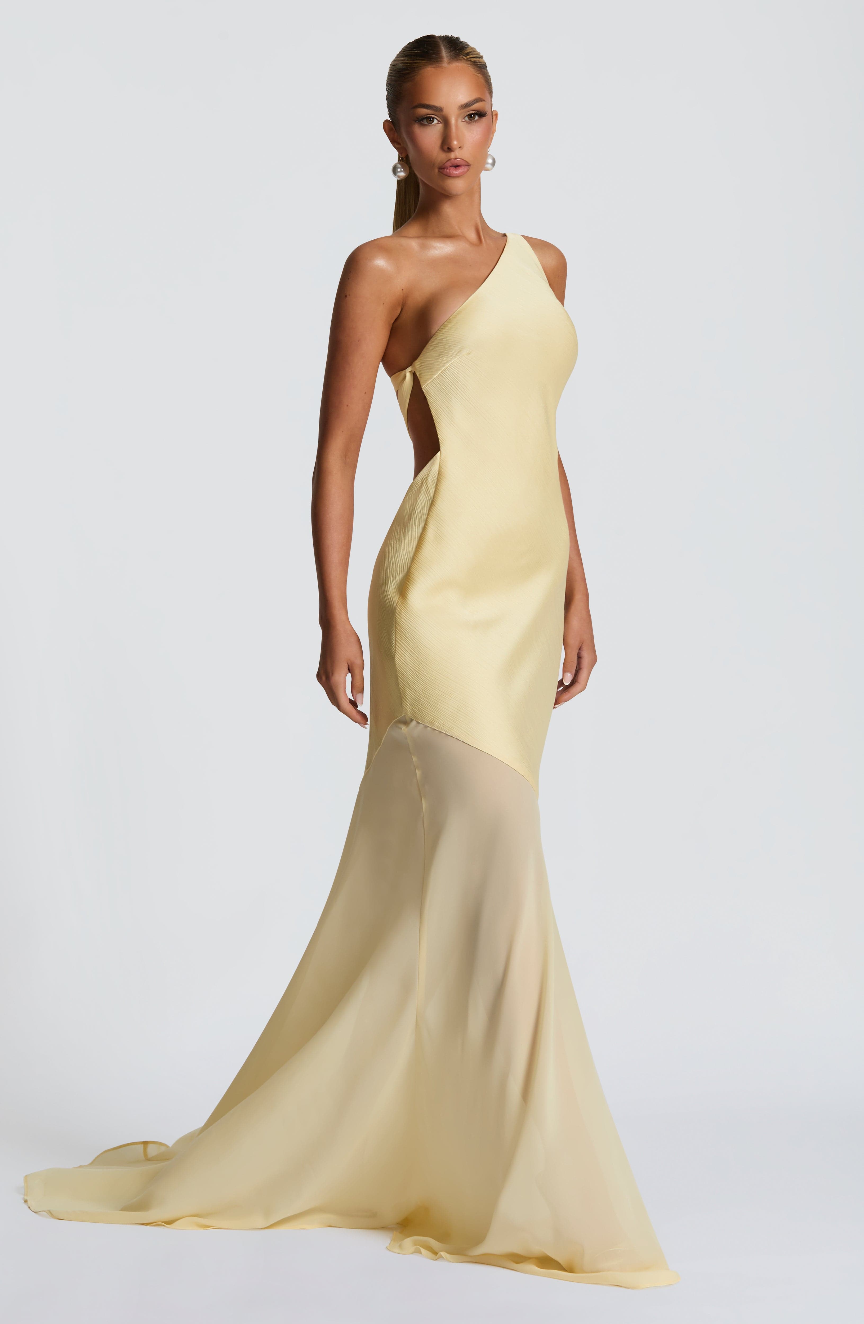 Tycheessa -  One-Shoulder Mesh Gown